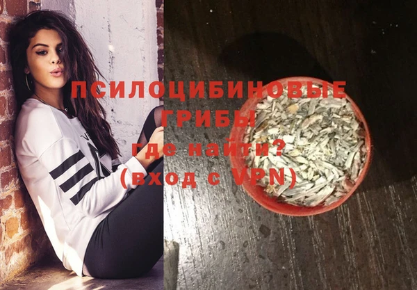 индика Пестово