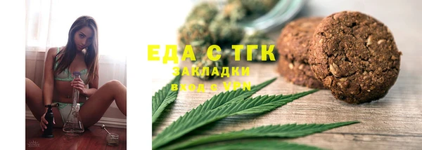 индика Пестово