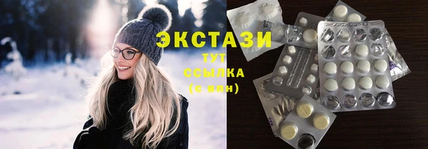 индика Пестово