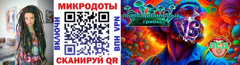 Галлюциногенные грибы Magic Shrooms  кракен сайт  Курчалой 
